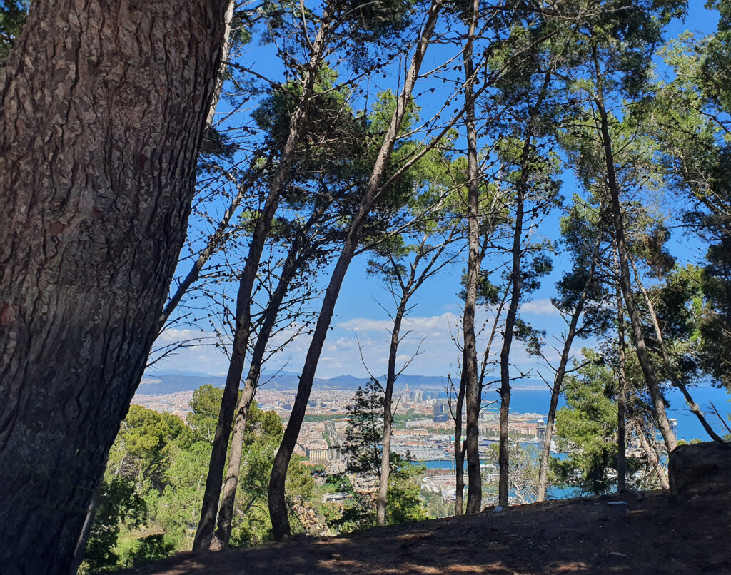 parchi-di-barcellona-città-montjuic-11
