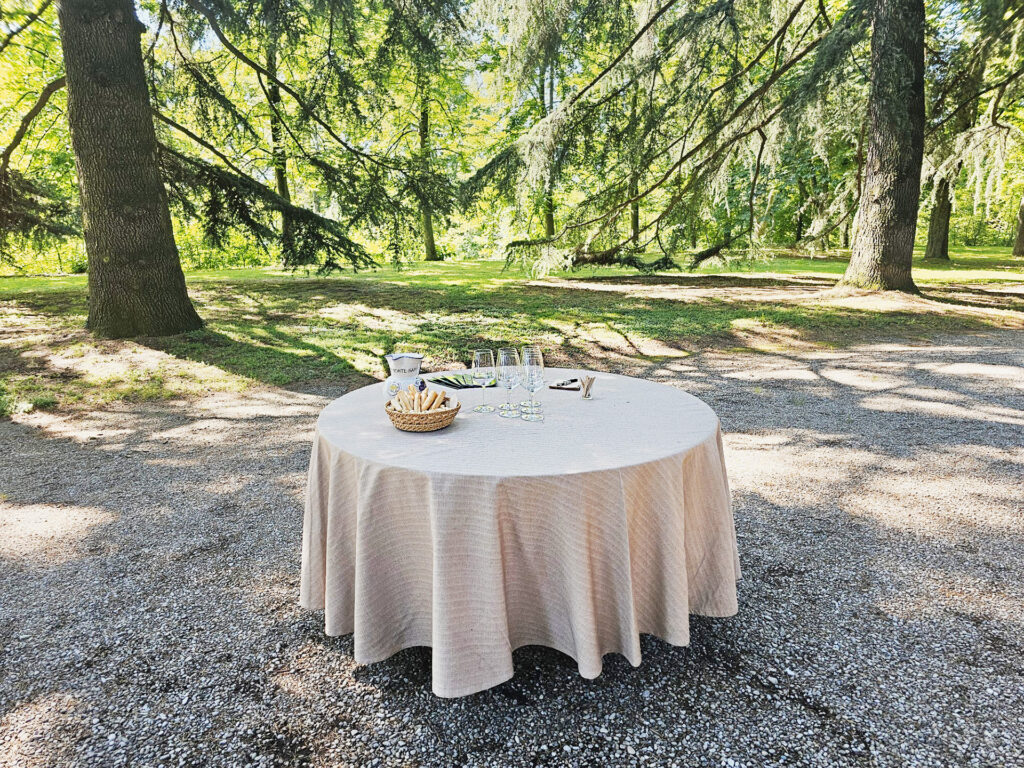 Bologna Wine and Gourmet Trips