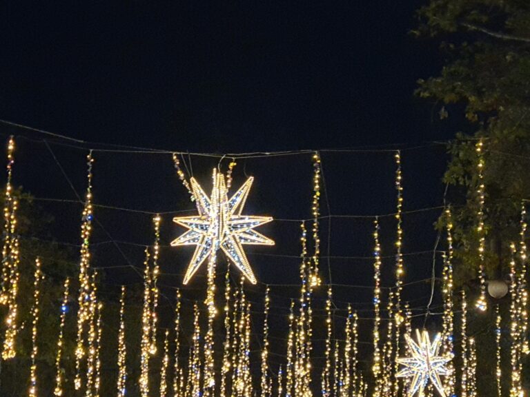 Luci di Natale 2024 a Barcellona