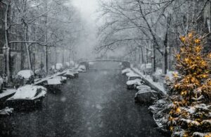 mercatini di natale ad amsterdam 2024 cosa fare e vedere