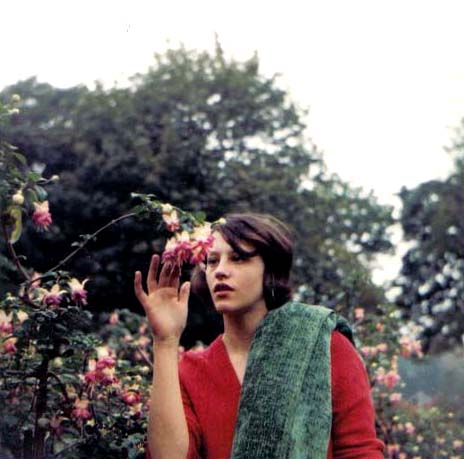 eel pie island