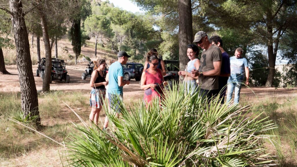 Segesta Tour 4X4