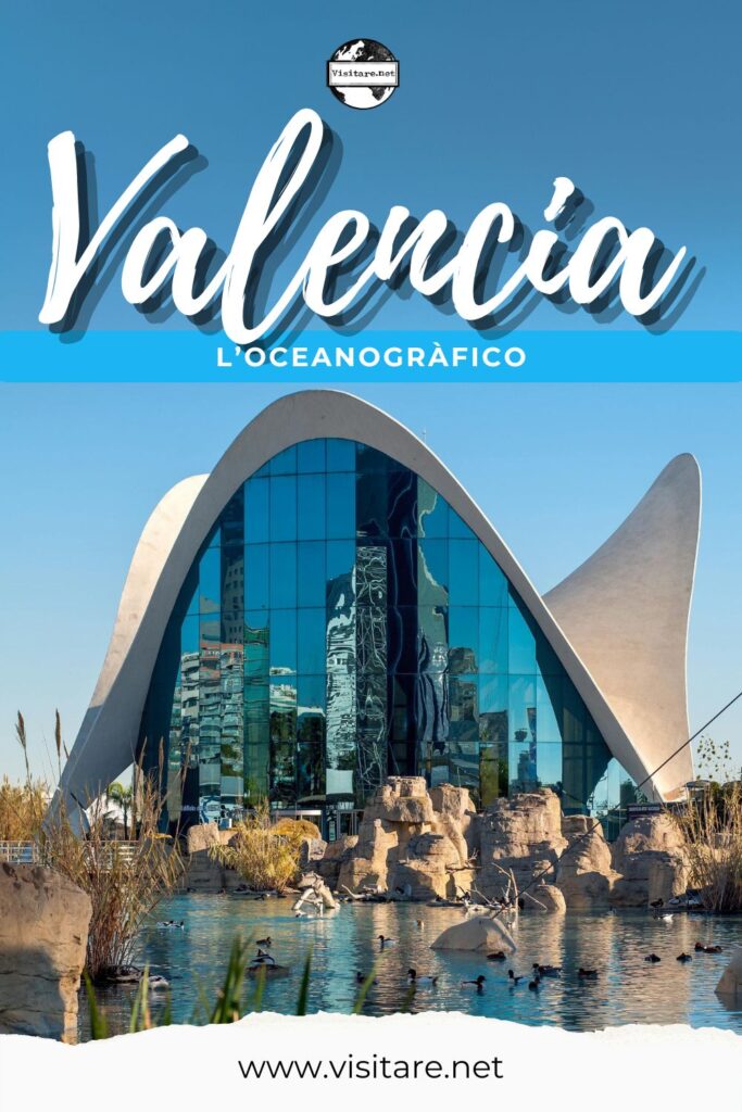 Visita l'Oceanografico di Valencia e immergiti in un viaggio tra oceani, mari e specie affascinanti. #OceanograficodiValencia #ValenciaAttrazioni #ValenciaTurismo #visitare