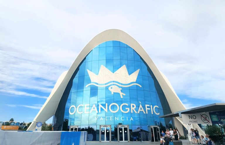 valencia oceanografico valencia museo oceanografico biglietti pinguini