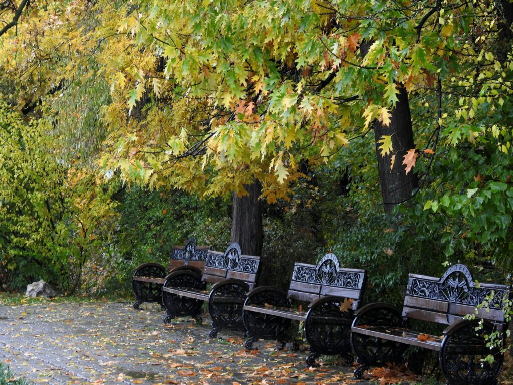 come vestirsi a Bucarest meteo bucarest autunno settembre ottobre novembre