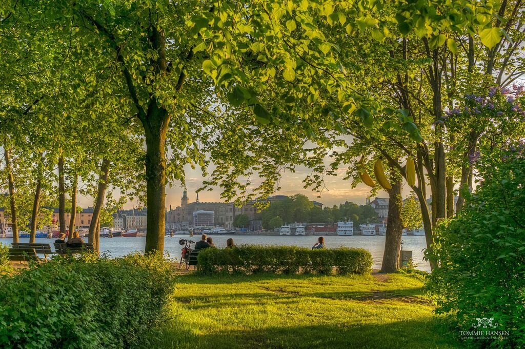 Djurgården Stoccolma cosa vedere
