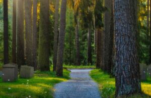 skogskyrkogrden il cimitero unesco di stoccolma